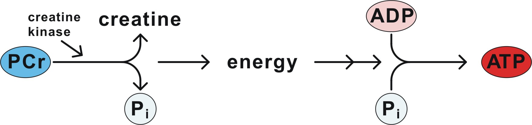 Energy Pathways
