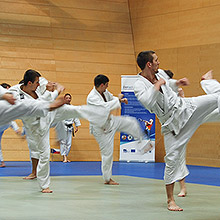 Z inovace Karate II