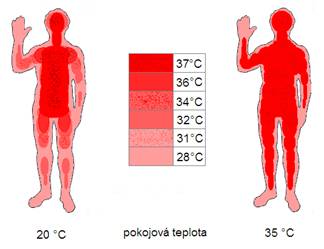 Vzťah teploty tela a prostredia
